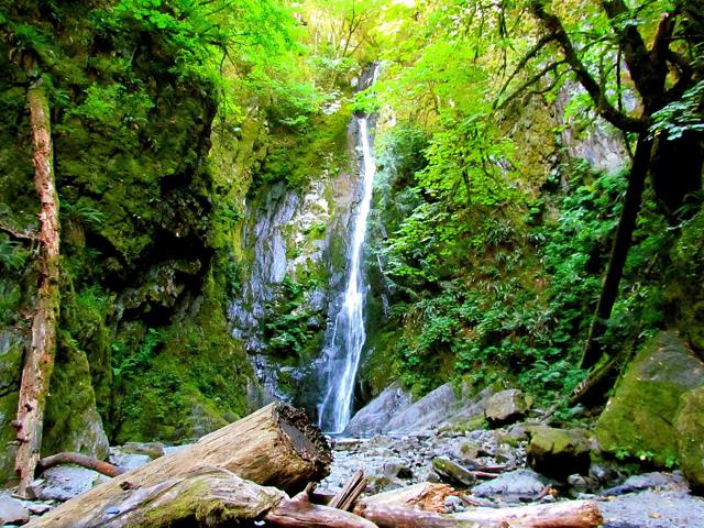 Goldstream Provincial Park